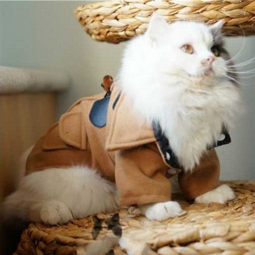 Woolen Jacket Trench Coat Winter Pet Clothes